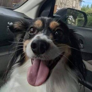 Meet your Posher, Zean